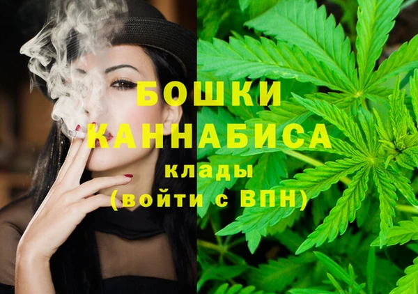 гашик Арсеньев