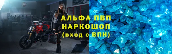 гашик Арсеньев