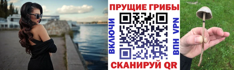 OMG ССЫЛКА  Тында  Псилоцибиновые грибы мухоморы 
